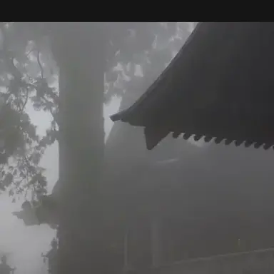 Profile image of 白狼神