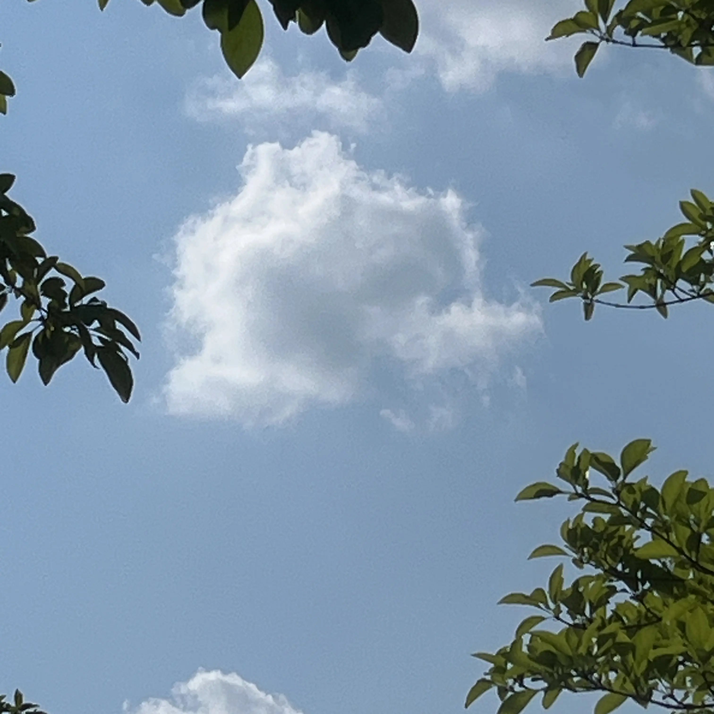 CleverSheep9500의 만족즈의 파자마 파티