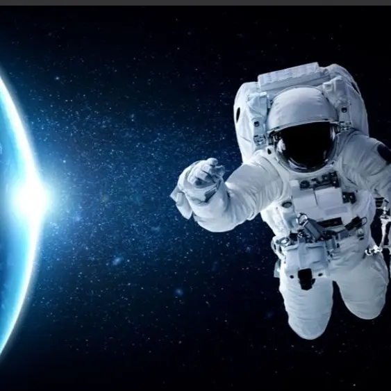 DryCoin0256의 돌로 변장한 것들
