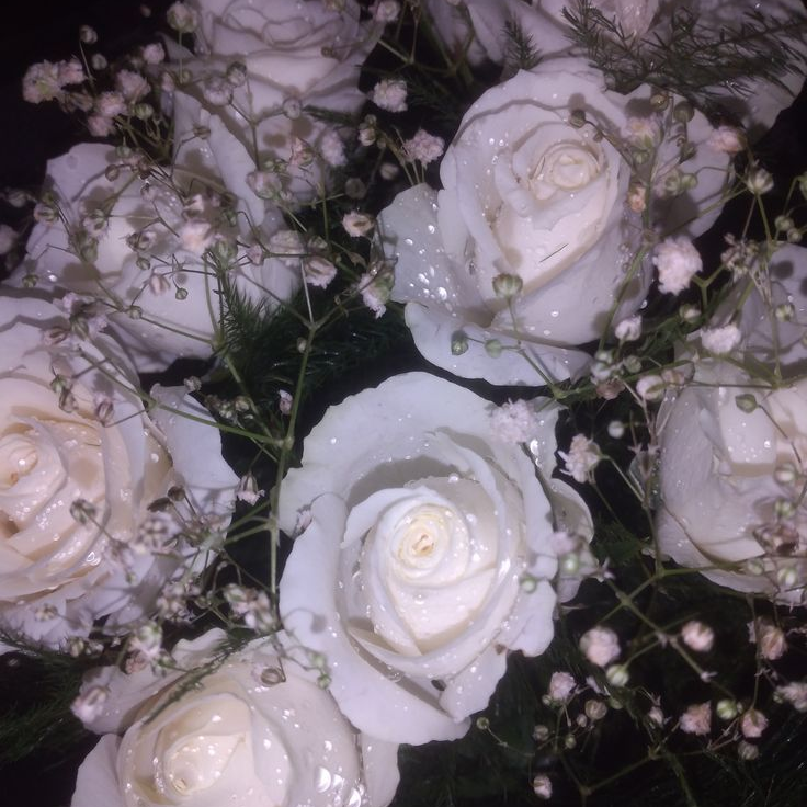 花花病 대표 이미지