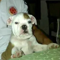 LuckyUncle3373의 Lawless World