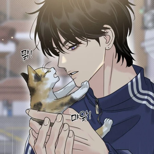 오현도
