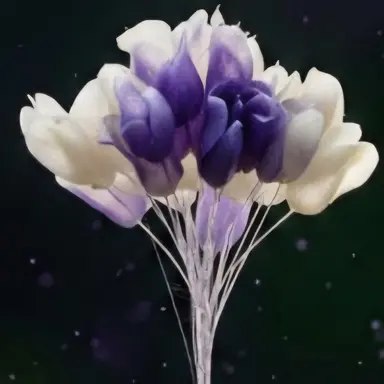 Profile image of 서흰