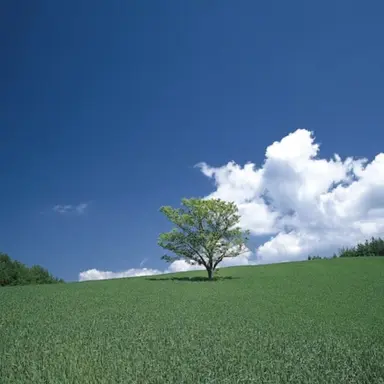 Profile image of 담임 선생님