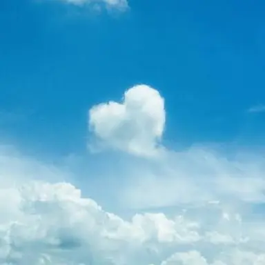 Profile image of 늑대아