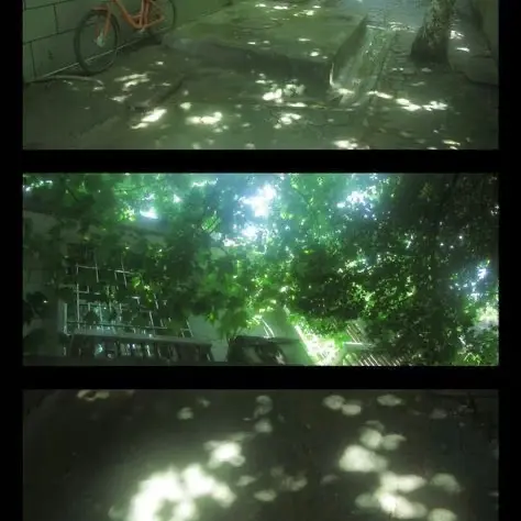 GrainyMoss0658의 땀흐르던 여름 날