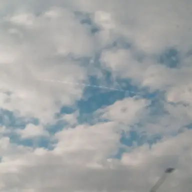 Profile image of 소얀