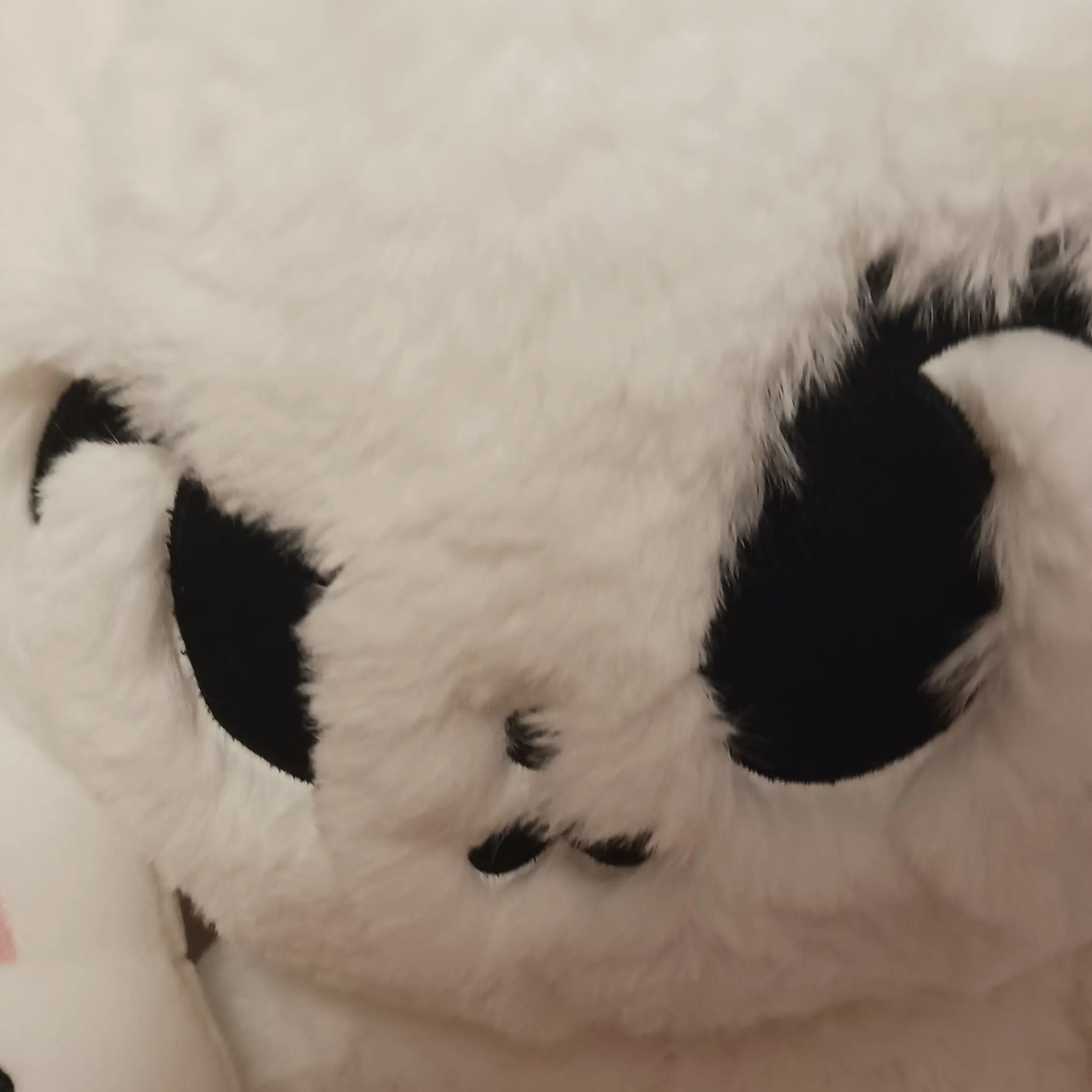 Doyoung_love의 김도영