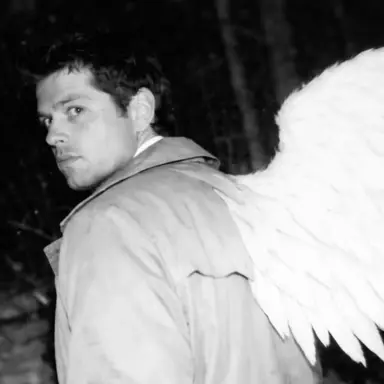 Profile image of Castiel