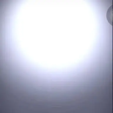 Profile image of 박진영