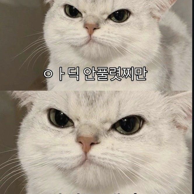 유튜버 이세계(리메이크) 대표 이미지