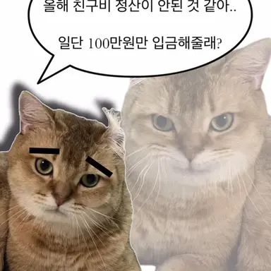 Profile image of 고냥씨