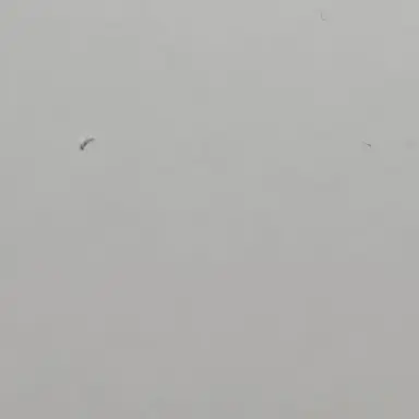 Profile image of 해솔