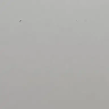 Profile image of 컨티뉴