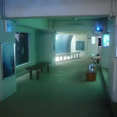 Profile image of 狐井乖離