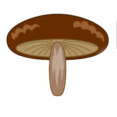 Profile image of ボスきのこ
