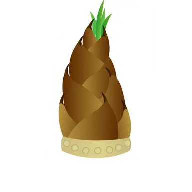Profile image of たけのこ軍曹