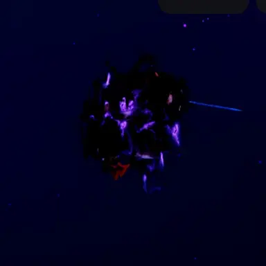 Profile image of 아슬리스