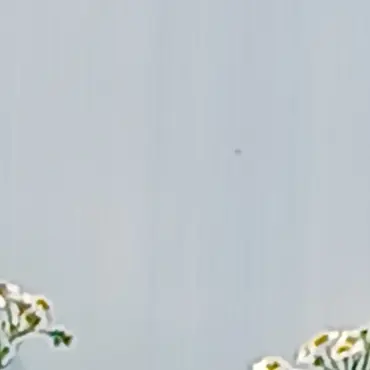 StarkLake1012의 미수반