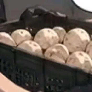 Profile image of 卵100個