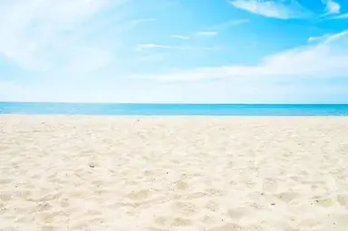 Profile image of The Beach