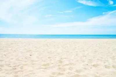 LocalBeat4560의 The Beach