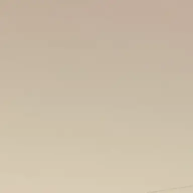 Profile image of 吉田仁人