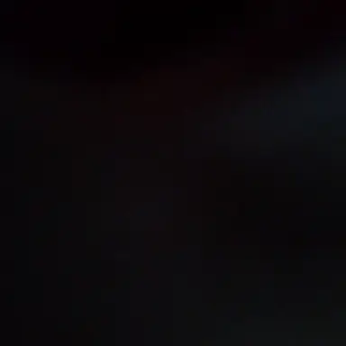 Profile image of Saravel