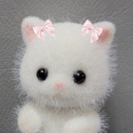 김 진 혁 대표 이미지