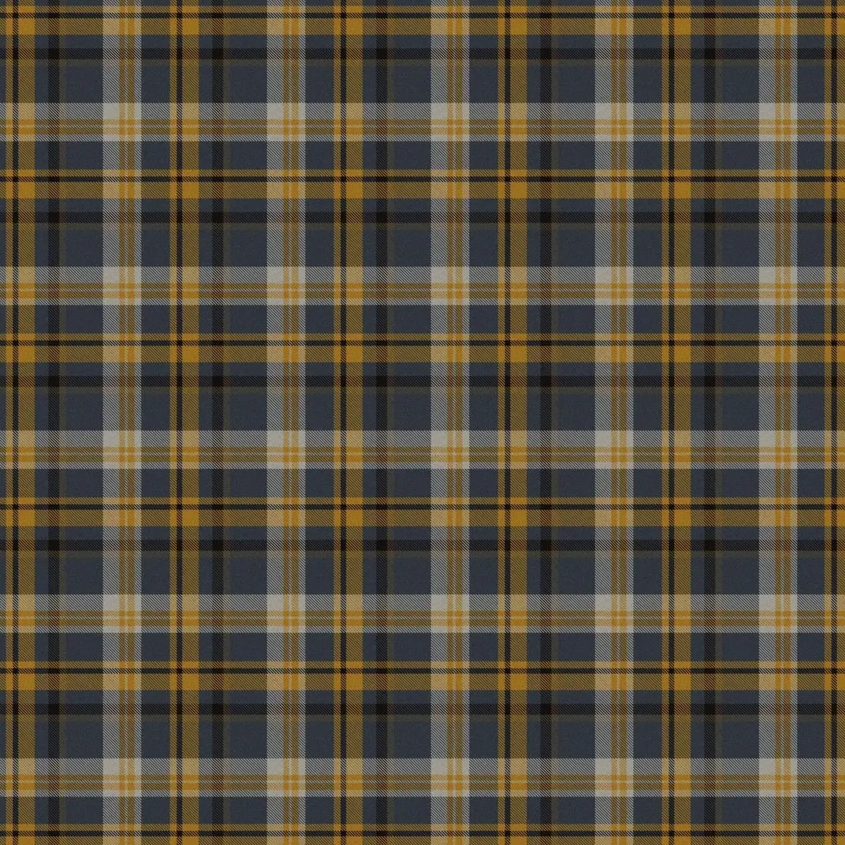 RowdyLip1849의 偽物だと思った貴方は本物だった