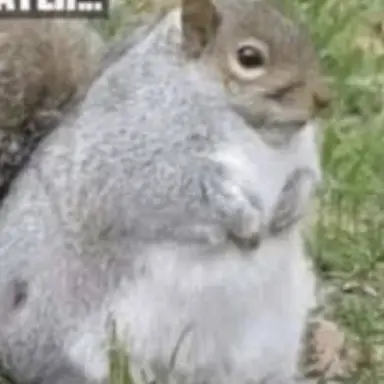 Profile image of 서니