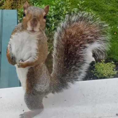 Profile image of 유노