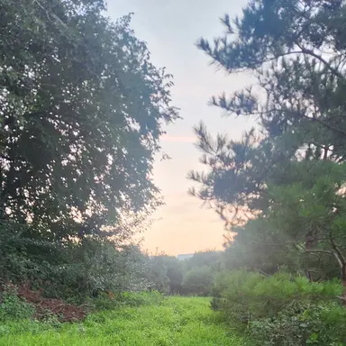 Profile image of 친구들