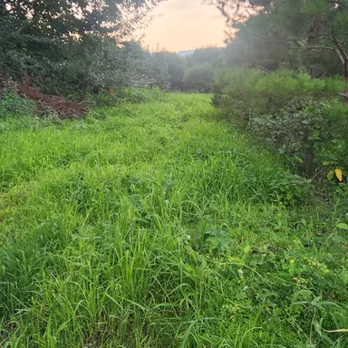 Profile image of 해설.