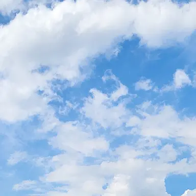 Profile image of 지찬율