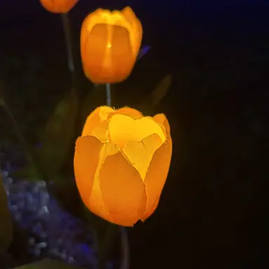 Profile image of Mr.コンプレス