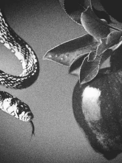 m1125의 Cry for love