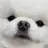 포미