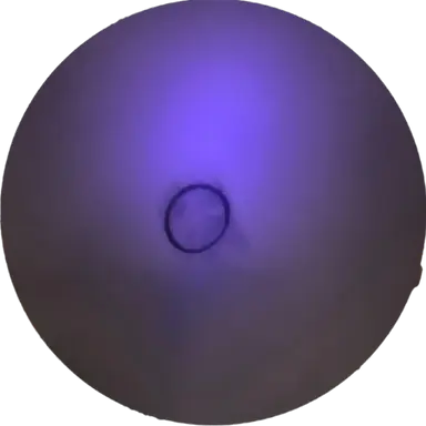 Profile image of Swift