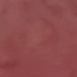 Profile image of 지안