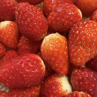 Profile image of 鈴木 夏姫