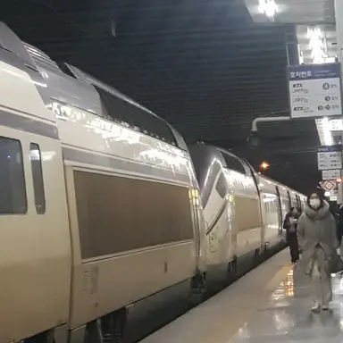 Profile image of SRT