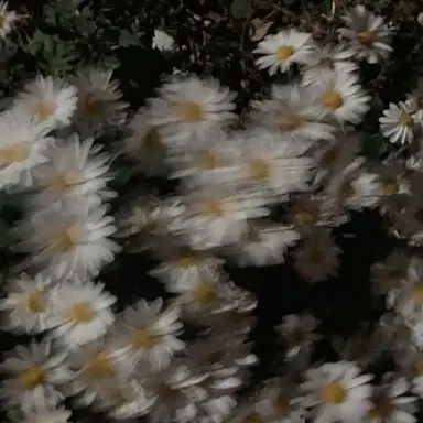 Profile image of KWH