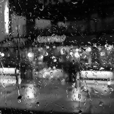 Profile image of PSH