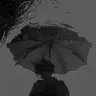 Profile image of 이상
