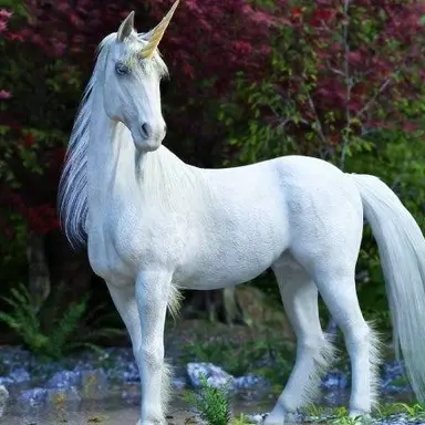 Profile image of 백마