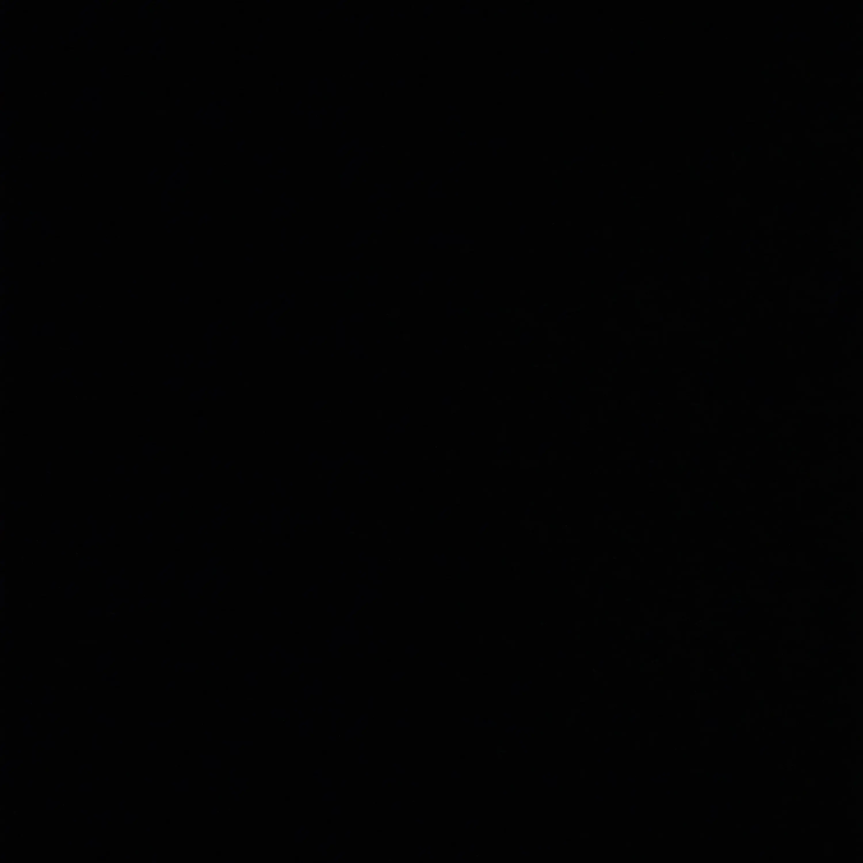 NutmegHyena5958의 정우석