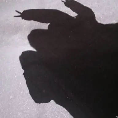 Profile image of 백현