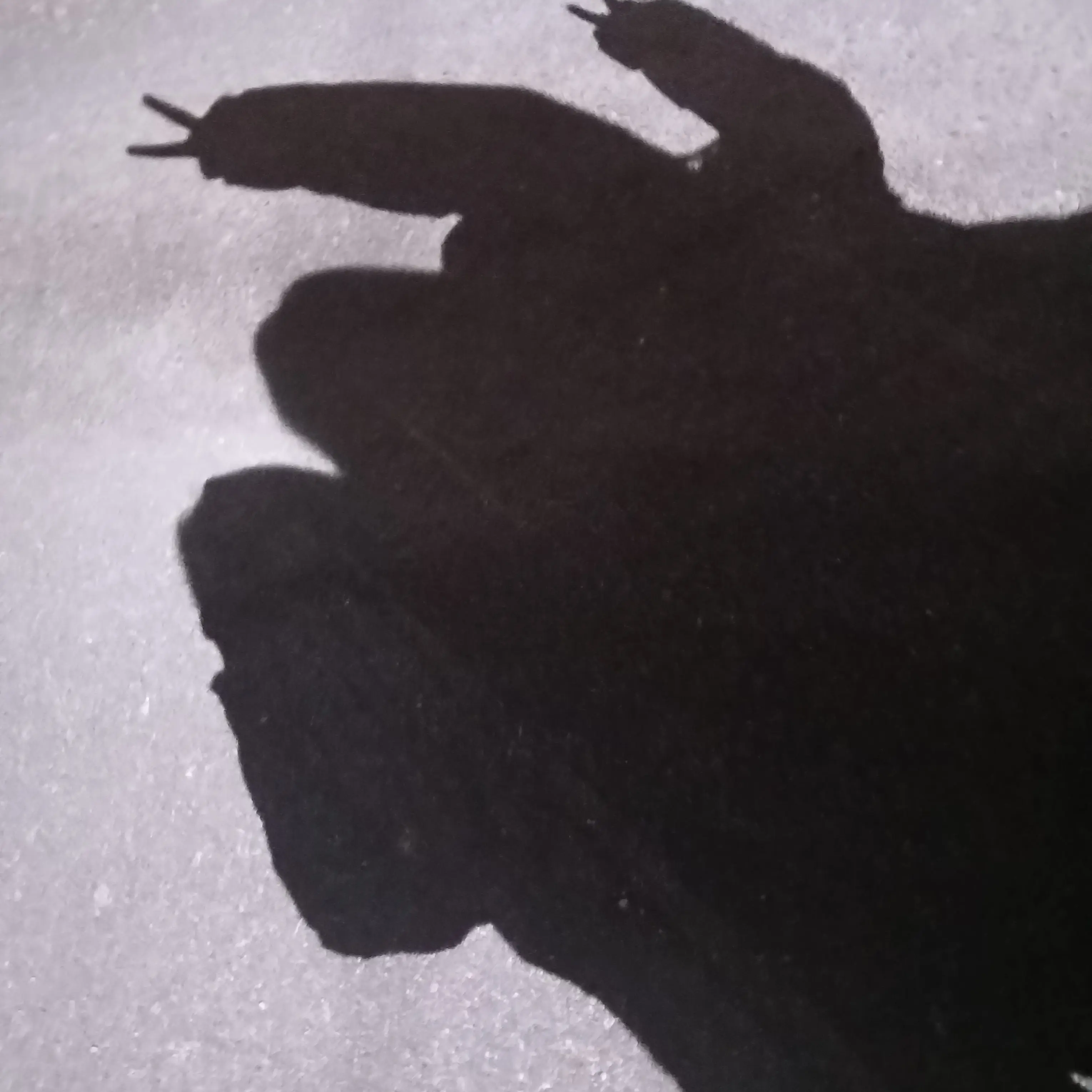 26year의 고고프렌즈+선생님+아픔