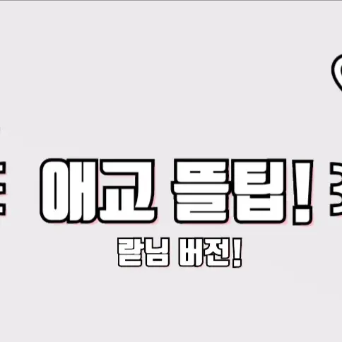 Ginghanchi의 ꒰애교 뜰팁!꒱